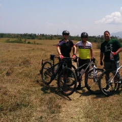 A year of cycling
