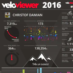 2016 New Year Resolutions Review