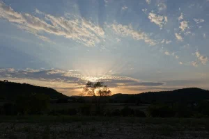 Summer Sunsets