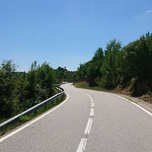 Center of the Road