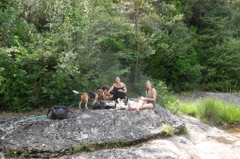 picnic