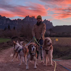 2021 - Year of the Dogs