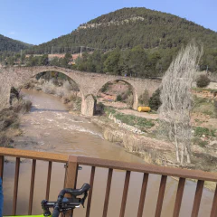 Game of Toiletpaper 2025