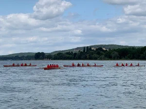 Rowing boats on the Rhein