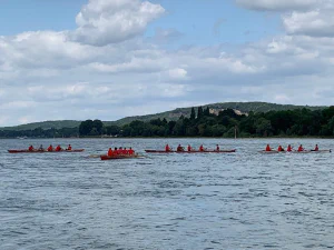 Rowing boats on the Rhein
