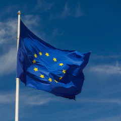 Moving services to the EU