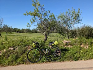 A road bike with bike packing bags in front of almond trees