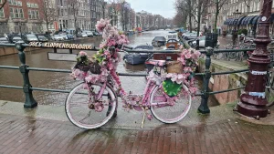 Pink bike covered in pink flowers parked on the Joes Kloppenburgbrug in Amsterdam