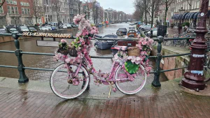 Pink bike covered in pink flowers parked on the Joes Kloppenburgbrug in Amsterdam